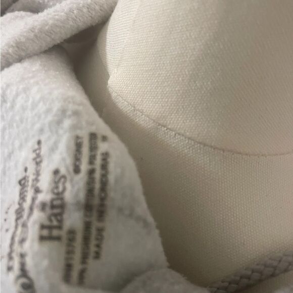 Disneyland Hanes Walt Disney World Gray Zip-Up Hoodie with Graphic Design Size L - Picture 14 of 16